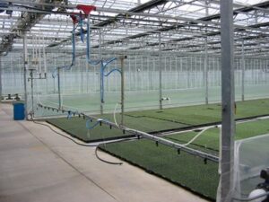 Dual Rail Watering Boom