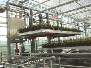 Electric Container Transport Vehicles