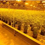 Glider Series Benches