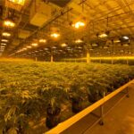 Glider Series Benches