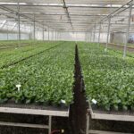 Expanded Metal Benches