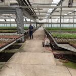 Expanded Metal Benches