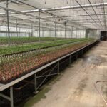 Expanded Metal Benches