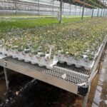 Expanded Metal Benches