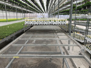 Mesh Benches