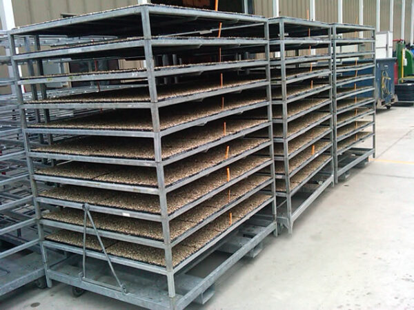 Racks / Carts loaded with plug trays