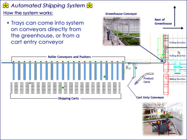 Trays can come into system on conveyors directly from the greenhouse, or from a cart entry conveyor