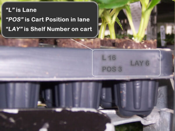 automated shipping system labeling