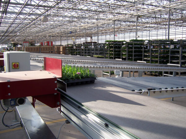 Pushers sending trays down correct cart lanes