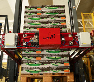 aweta fruit vegetable palletizing plantech niagara 1 Aweta Sorting and Packaging
