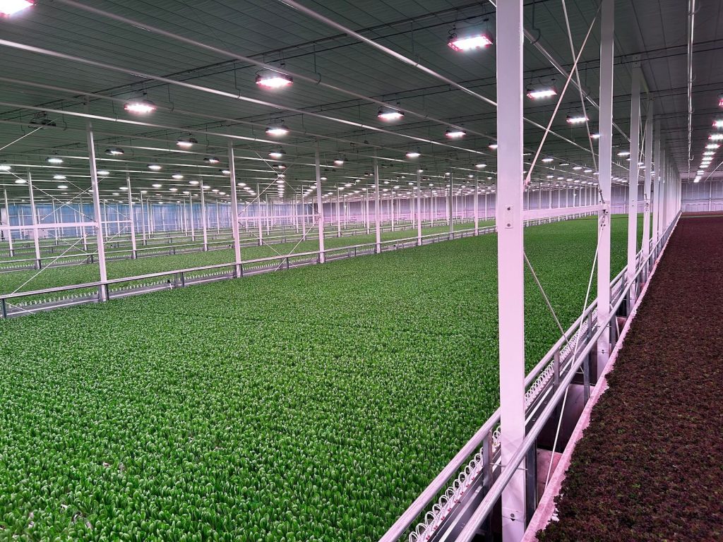 cf478bfb93df926f5744c controlled environment production