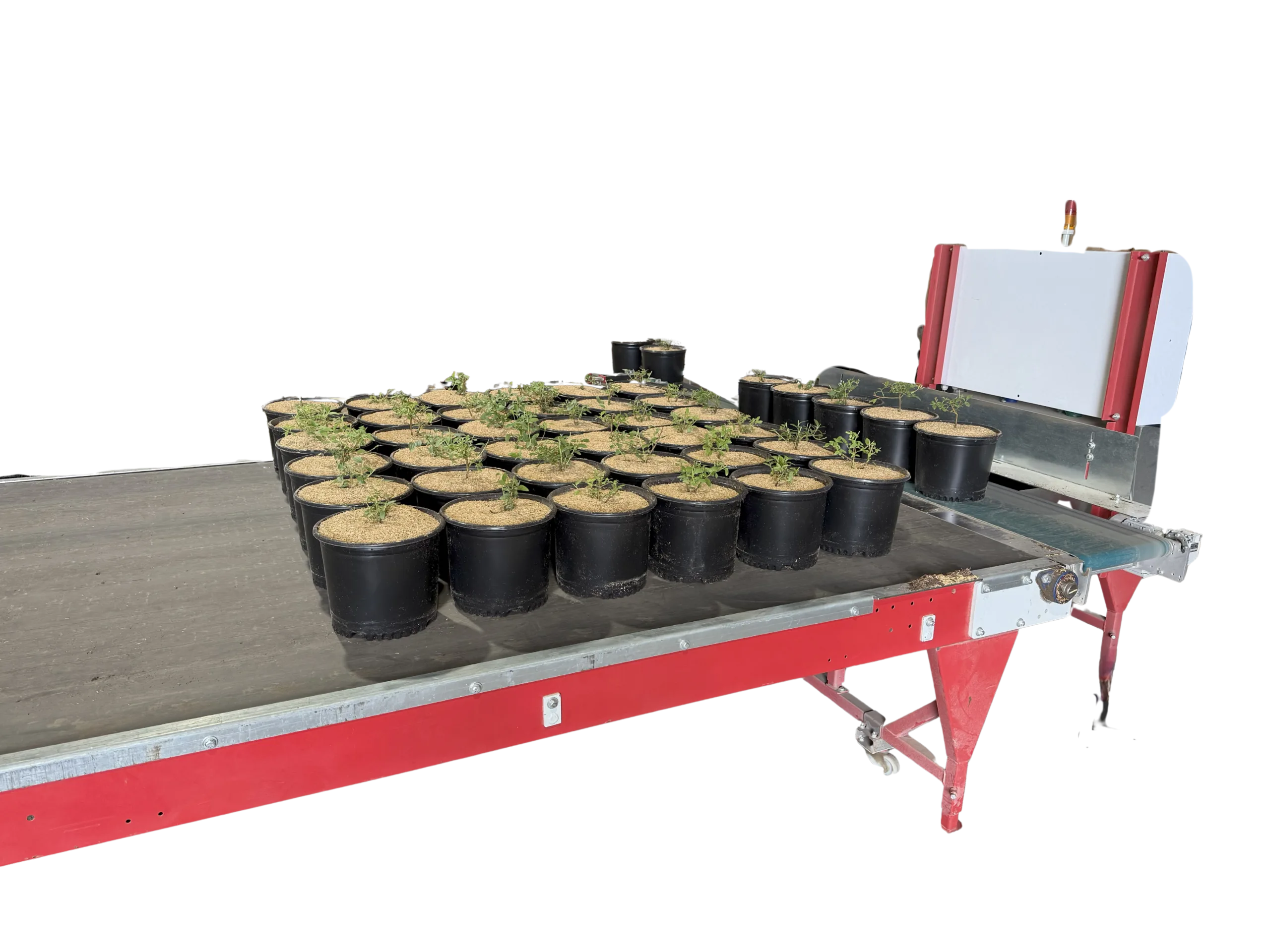 Container Buffer System