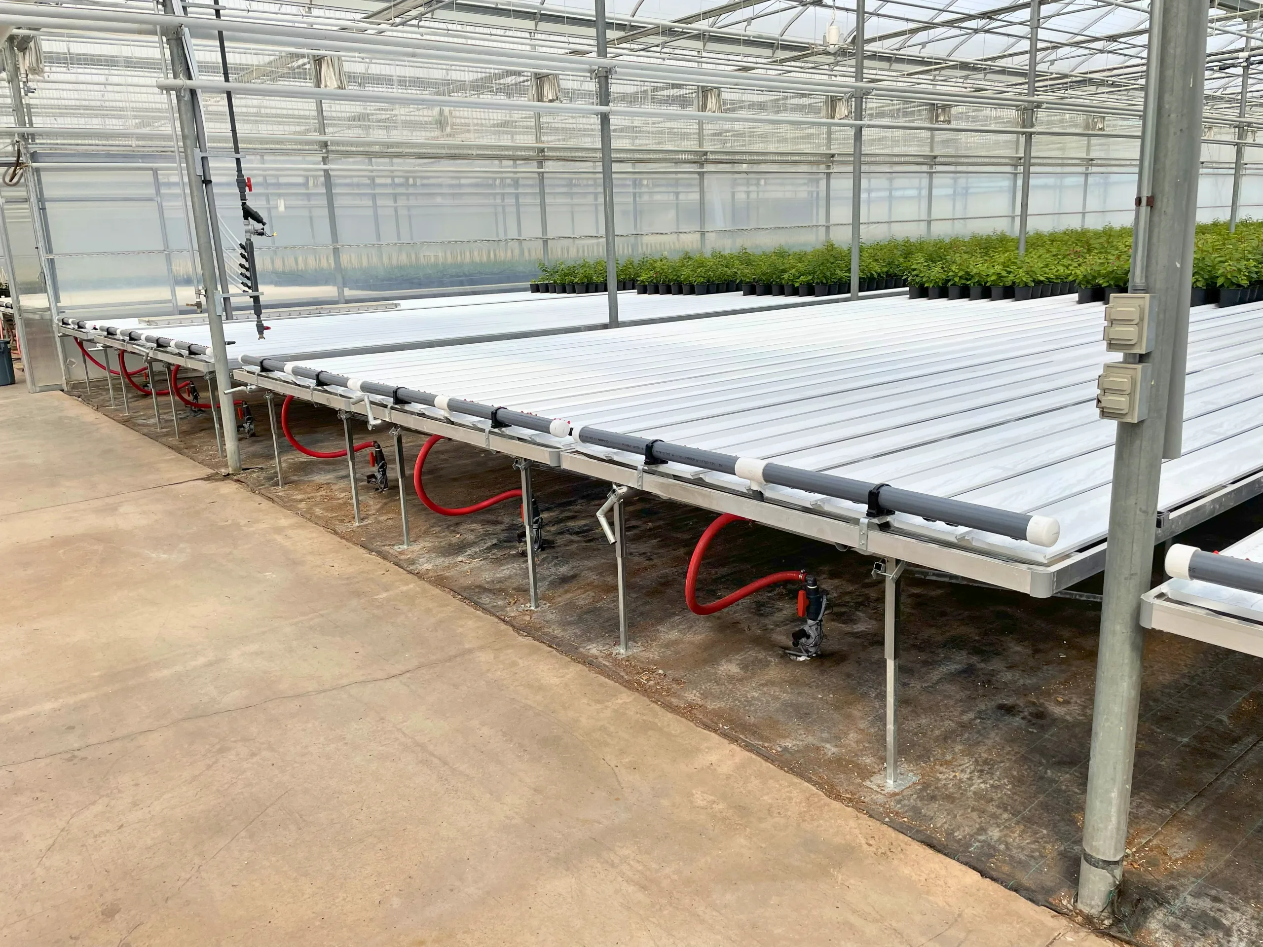 Trough Table Irrigation