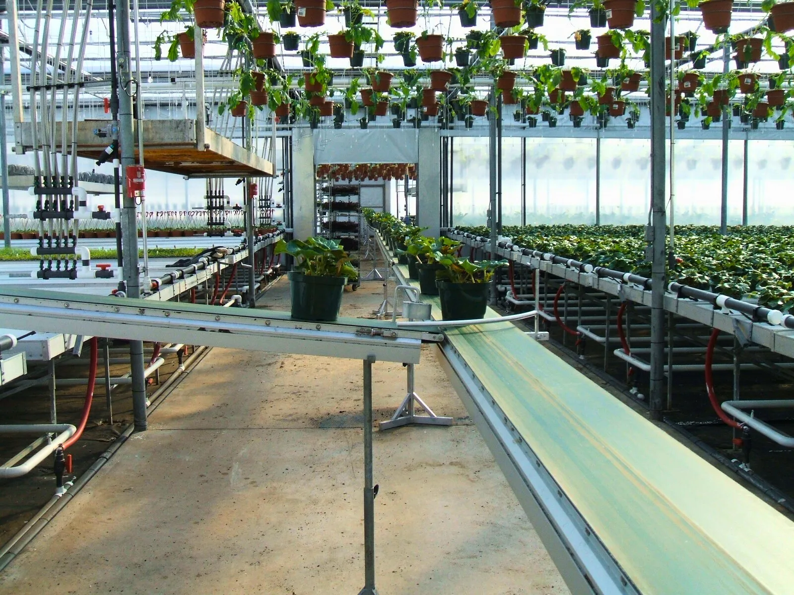greenhouse conveyors