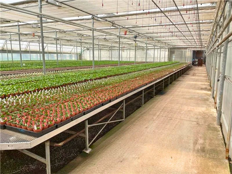 Expanded Metal Table