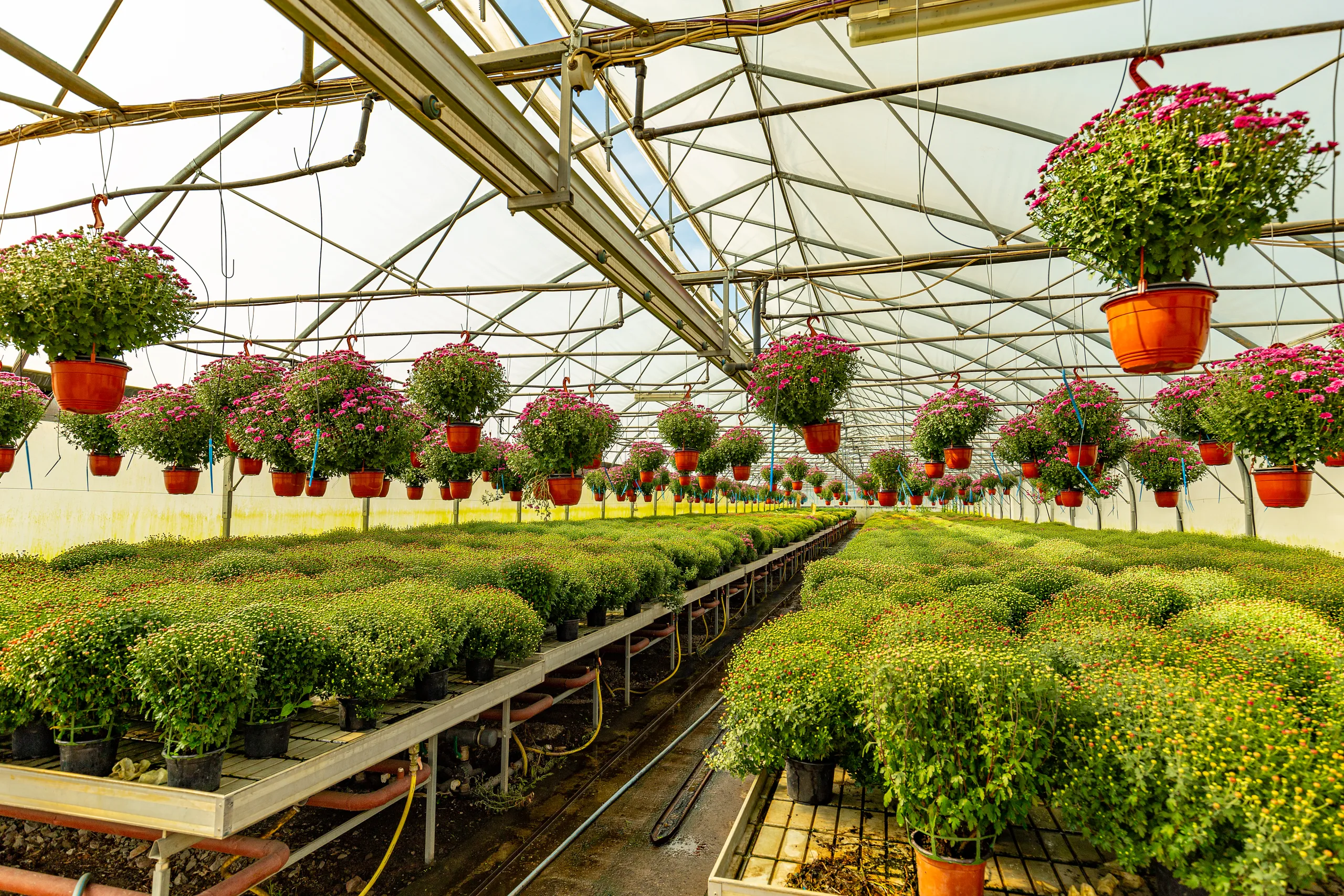Greenhouse benching